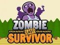 Hra Zombie Last Survivor