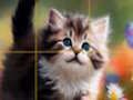 Hra Puzzle posuvné koťata 