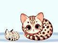 Hra Neko