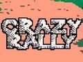 Hra Crazy Rally