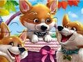 Hra Skládačka: Legrační Corgis 