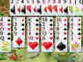 Hra Divoká květina solitaire 