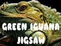 Hra Jigsaw leguán zelený 
