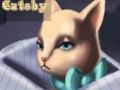 Hra Velký Catsby 