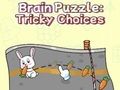 Hra Mozková puzzle: složitá volba