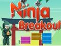 Hra Ninja Breakout
