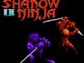 Hra Stín ninja