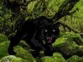Hra Útěk z Black Panther Forest 