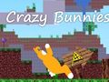 Hra Crazy Bunnies