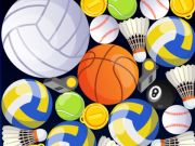Hra Sportovní sloučení 