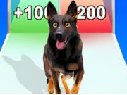 Hra Běh evoluce psů 