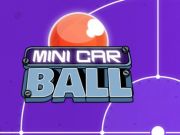 Hra Mini míč do auta 