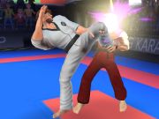 Hra Karate bojovník 