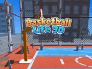 Hra Basketball Life 3d