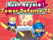 Hra Rush Royale Tower Defense td 