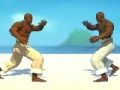 Hra Capoeira Fighter 