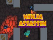 Hra Ninja Assassin