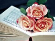 Hra Book and Flowers Puzzle