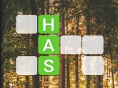 Hra Word Connect