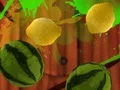 Hra Fruit Break