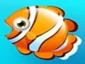 Hra Fish Resort