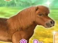 Hra My Dear Pony