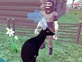 Hra Deer Simulator 3D