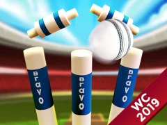 Hra Mini Cricket: Ground Championship World Cup 2019