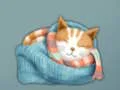 Hra Adorable Escape Find Cute Kitten