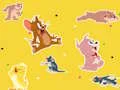 Hra The Tom and Jerry Show Find it!