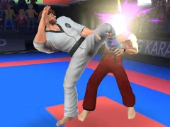 Hra Karate Fighter