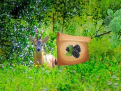 Hra Return To Alsunga Forest