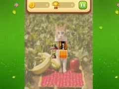 Hra Farm Cat Memory Match