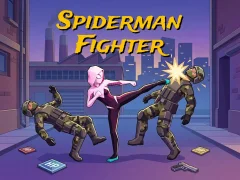 Hra Spiderman Fighter