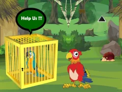Hra Release Trapped Macaw Buddy