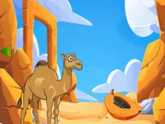 Hra Camel Looking For Her Young