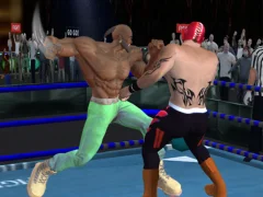 Hra Real Boxing Fighting Game