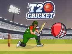 Hra T20 Cricket