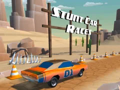 Hra Stunt car Races