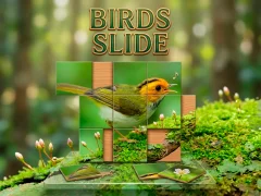 Hra Birds Slide