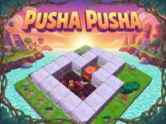 Hra Pusha Pusha