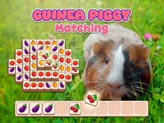 Hra Guinea Piggy Matching