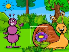 Hra Insect Pic Puzzles