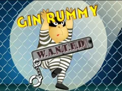 Hra Gin Rummy
