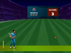 Hra Cricket Night 2