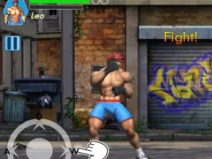 Hra Kung Fu Gym Fighting