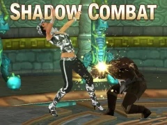 Hra Shadow Combat