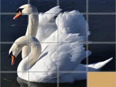 Hra Animals Slide Puzzle