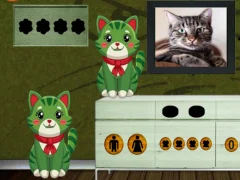 Hra Find the Curious Freaky Cat
