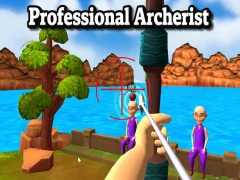 Hra Professional Archerist